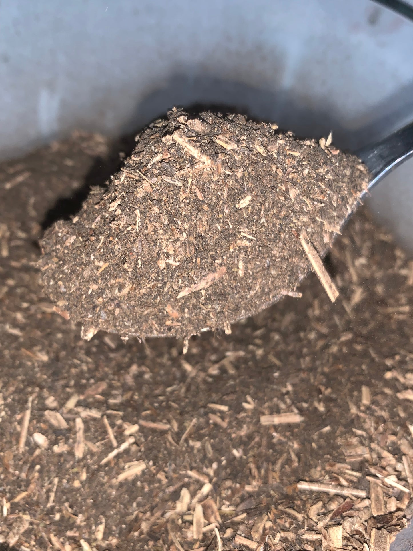 Blue vervain tea bag packs