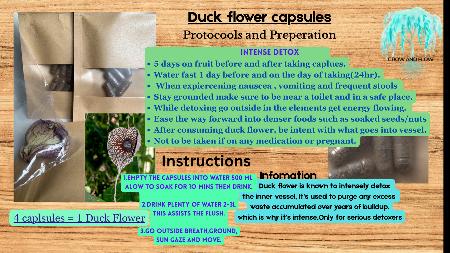 Duck flower capsules